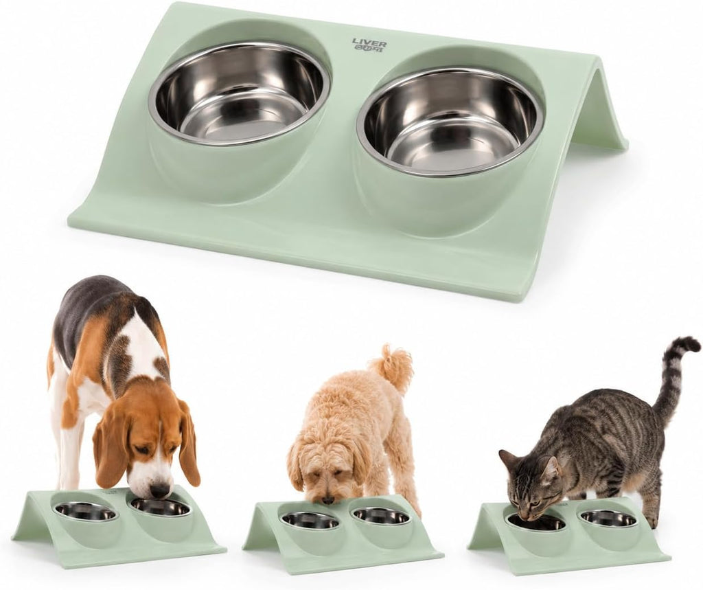 LVER 2 In 1 Elevated Dog Bowl Set - Dogs & Cats – Premium Raised Double Stainless Steel, Non-Slip Modern Stand for Food & Water, Easy Clean, Durable, Stable, Hygienic for Small, Medium & Large Pets