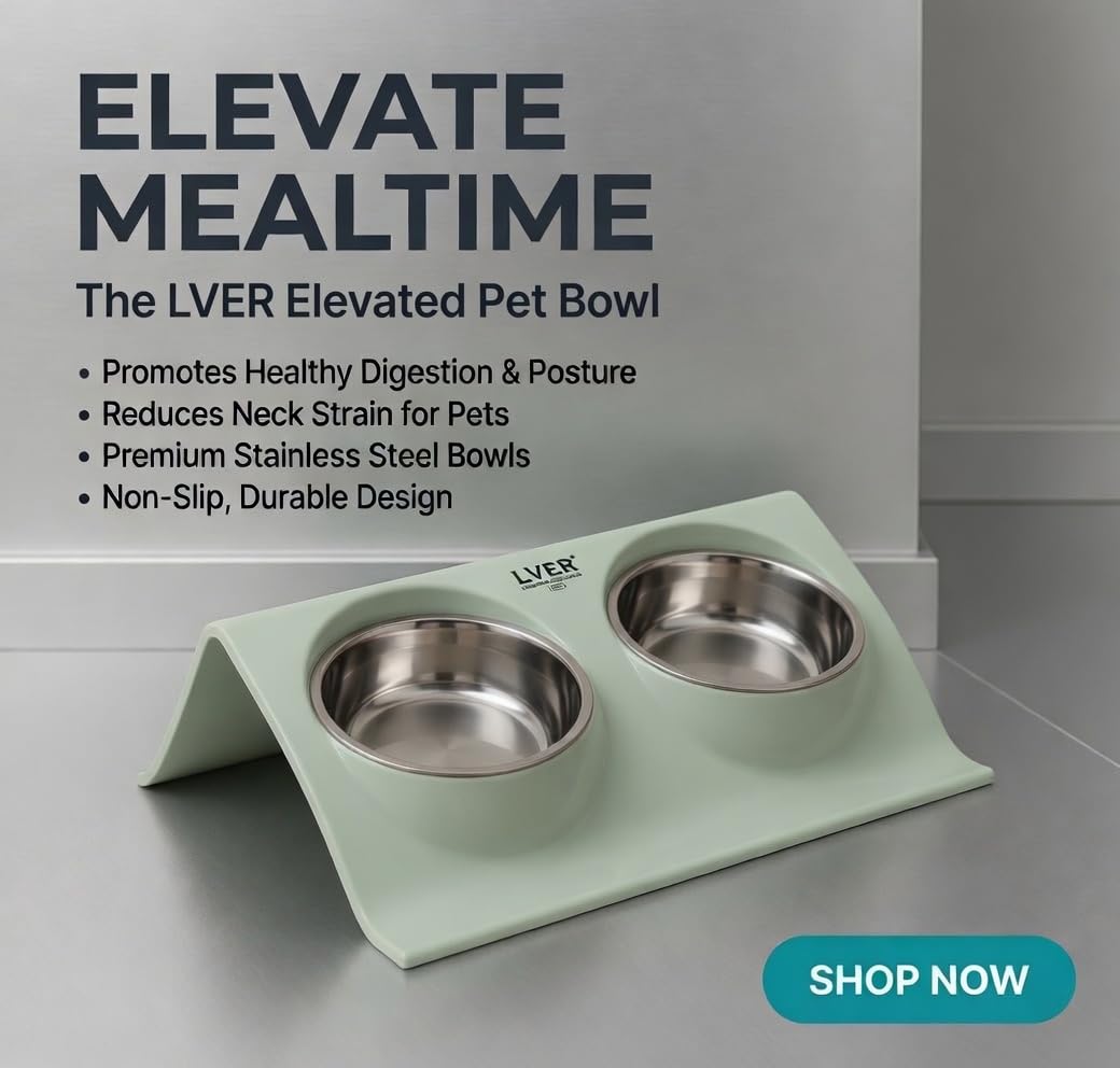 LVER 2 In 1 Raised Premium Pet Bowl Set for Dogs & Cats – Elevated Double Stainless Steel, Non-Slip Modern Stand for Food & Water, Easy Clean, Durable, Stable, Hygienic for Small, Medium & Large Pets