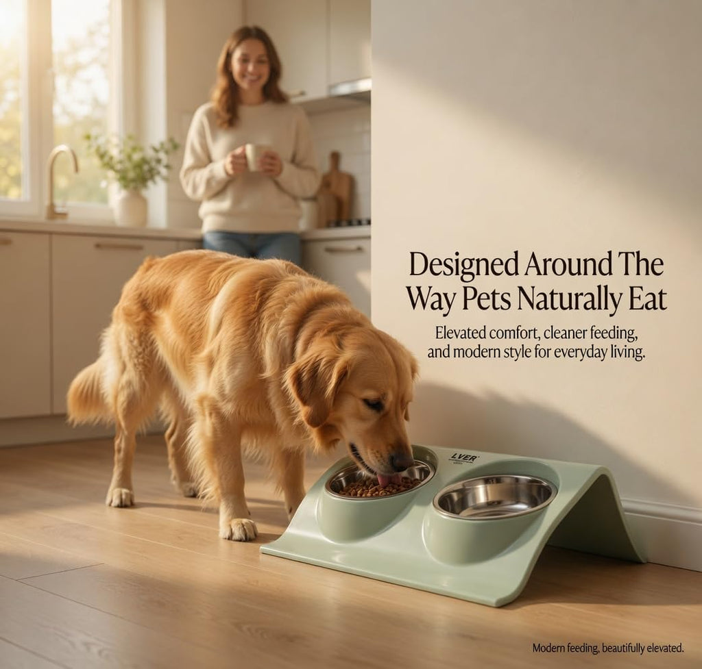 LVER 2 In 1 Raised Premium Pet Bowl Set for Dogs & Cats – Elevated Double Stainless Steel, Non-Slip Modern Stand for Food & Water, Easy Clean, Durable, Stable, Hygienic for Small, Medium & Large Pets