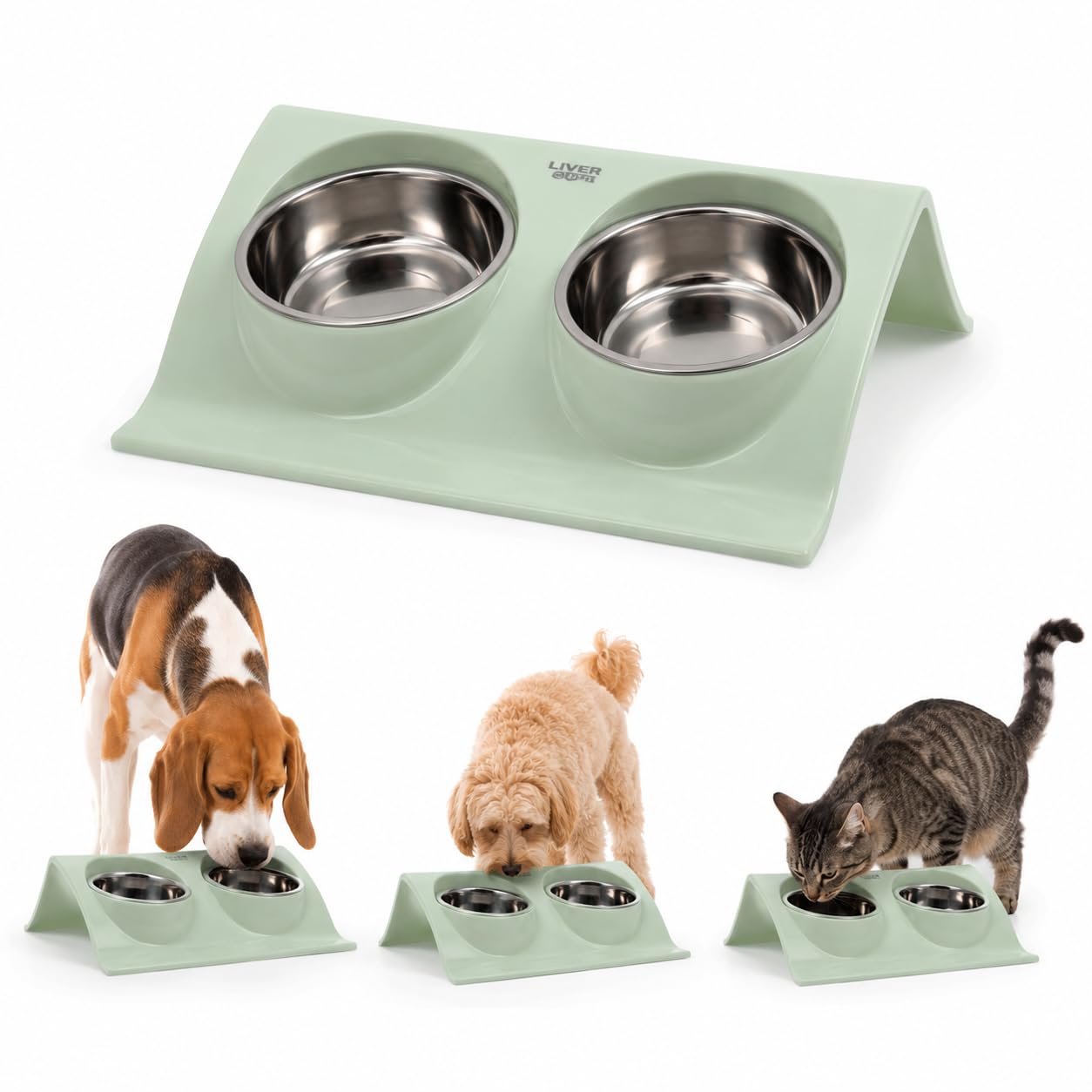 LVER 2 In 1 Raised Premium Pet Bowl Set for Dogs & Cats – Elevated Double Stainless Steel, Non-Slip Modern Stand for Food & Water, Easy Clean, Durable, Stable, Hygienic for Small, Medium & Large Pets